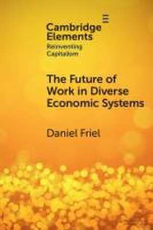 The Future of Work in Diverse Economic Systems de Daniel Friel