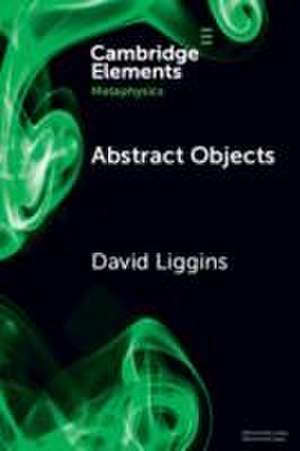 Abstract Objects de DAVID LIGGINS