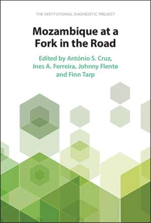 Mozambique at a Fork in the Road: The Institutional Diagnostic Project de António S. Cruz