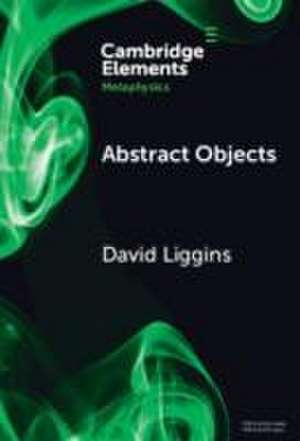 Abstract Objects de DAVID LIGGINS