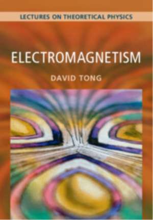 Electromagnetism: Volume 2 de David Tong
