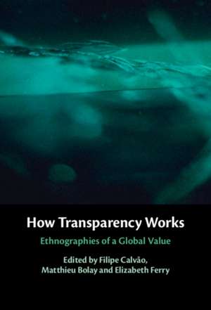 How Transparency Works de Filipe Calvão