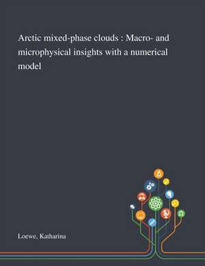 Arctic Mixed-phase Clouds de Katharina Loewe