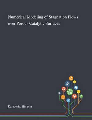 Numerical Modeling of Stagnation Flows Over Porous Catalytic Surfaces de Hüseyin Karadeniz