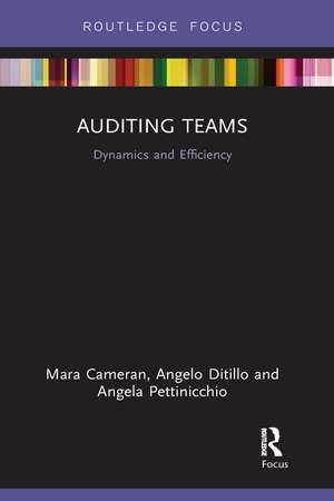 Auditing Teams: Dynamics and Efficiency de Mara Cameran