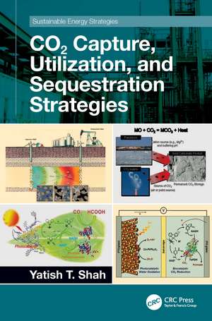 CO2 Capture, Utilization, and Sequestration Strategies de Yatish T. Shah