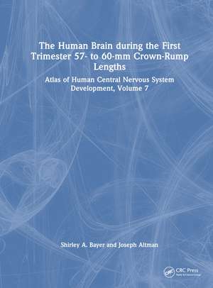 The Human Brain during the First Trimester 57- to 60-mm Crown-Rump Lengths: Atlas of Human Central Nervous System Development, Volume 7 de Shirley A. Bayer