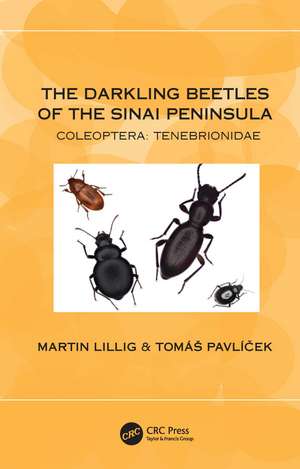 The Darkling Beetles of the Sinai Peninsula: Coleoptera: Tenebrionidae de Martin Lillig