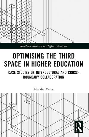 Optimising the Third Space in Higher Education: Case Studies of Intercultural and Cross-Boundary Collaboration de Natalia Veles