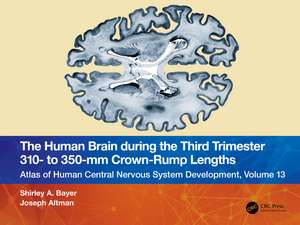 The Human Brain during the Third Trimester 310– to 350–mm Crown-Rump Lengths: Atlas of Central Nervous System Development, Volume 13 de Shirley A. Bayer