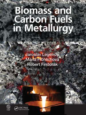 Biomass and Carbon Fuels in Metallurgy de Jaroslav Legemza