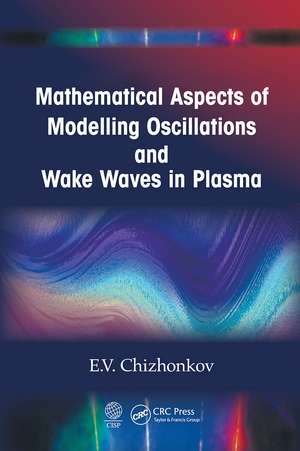 Mathematical Aspects of Modelling Oscillations and Wake Waves in Plasma de E.V. Chizhonkov