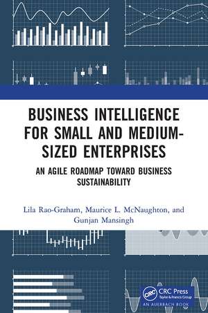 Business Intelligence for Small and Medium-Sized Enterprises: An Agile Roadmap toward Business Sustainability de Lila Rao-Graham