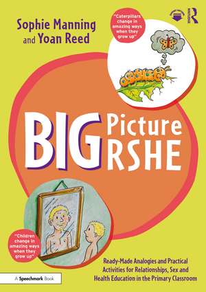 Big Picture RSHE: Ready-Made Analogies and Practical Activities for Relationships, Sex and Health Education in the Primary Classroom de Sophie Manning