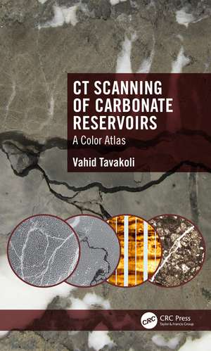 CT Scanning of Carbonate Reservoirs: A Color Atlas de Vahid Tavakoli