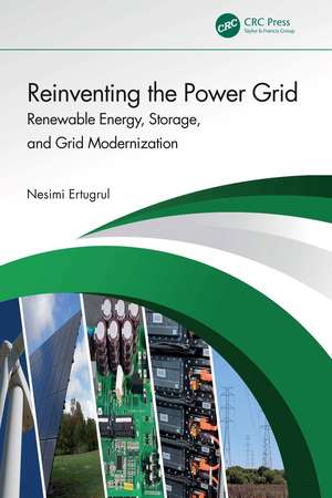 Reinventing the Power Grid: Renewable Energy, Storage, and Grid Modernization de Nesimi Ertugrul