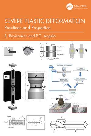 Severe Plastic Deformation: Practices and Properties de B. Ravisankar