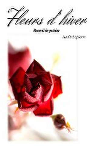 Fleurs d'hiver de Justin Lapierre