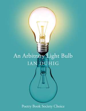 An Arbitrary Lightbulb de Ian Duhig