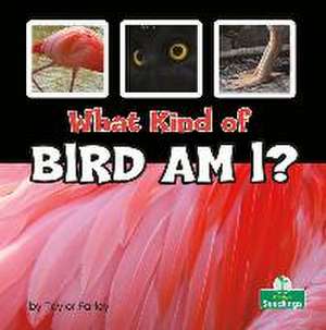 What Kind of Bird Am I? de Taylor Farley