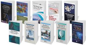 Ten-Book Bundle on Audit de Various Authors