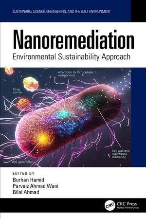 Nanoremediation: Environmental Sustainability Approach de Burhan Hamid