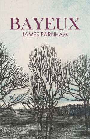 Bayeux de James Farnham
