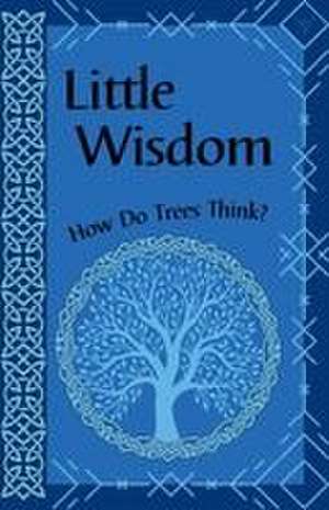 Little Wisdom de Devin Kornelsen-Loytomaki