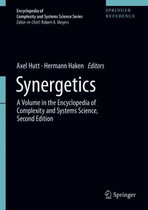 Synergetics de Axel Hutt