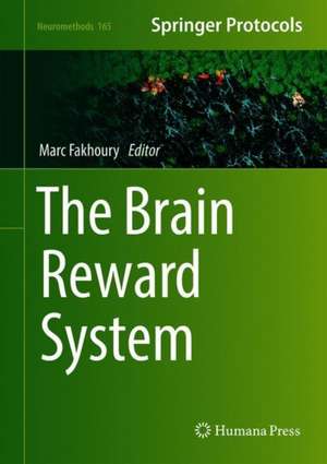 The Brain Reward System de Marc Fakhoury