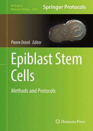 Epiblast Stem Cells: Methods and Protocols de Pierre Osteil
