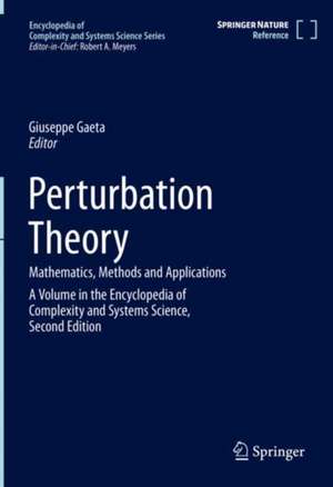 Perturbation Theory: Mathematics, Methods and Applications de Giuseppe Gaeta