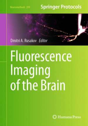 Fluorescence Imaging of the Brain de Dmitri Rusakov