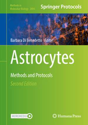 Astrocytes de Barbara Di Benedetto
