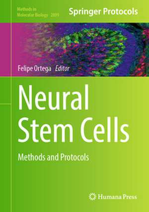 Neural Stem Cells de Felipe Ortega