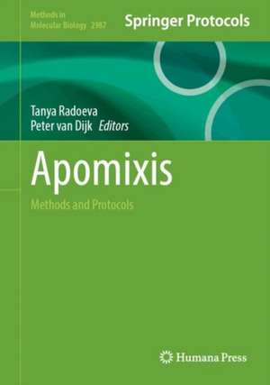 Apomixis de Tatyana Radoeva