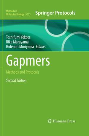 Gapmers de Hidenori Moriyama