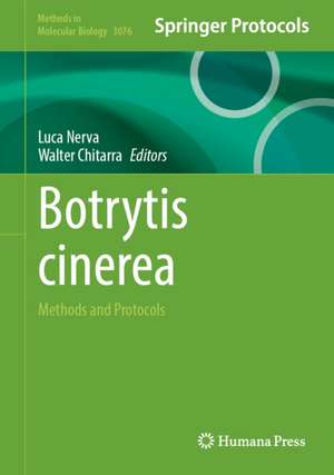 Botrytis cinerea de Luca Nerva