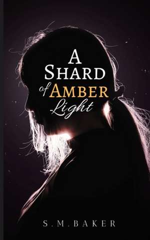 A Shard of Amber Light de S. M. Baker