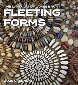 Fleeting Forms de James Brunt