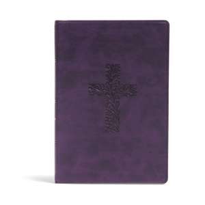 KJV Rainbow Study Bible, Purple Leathertouch de Holman Bible Publishers