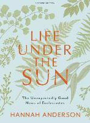 Life Under the Sun - Bible Study Book de Hannah Anderson