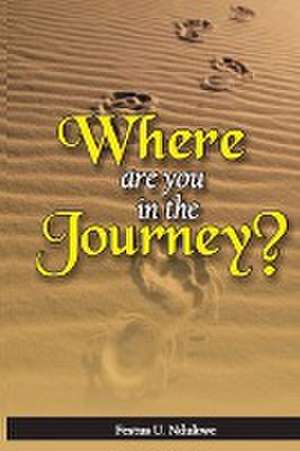 WHERE ARE YOU IN THE JOURNEY? de Festus Ndukwe