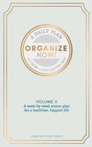 Organize Now de Jennifer Ford Berry