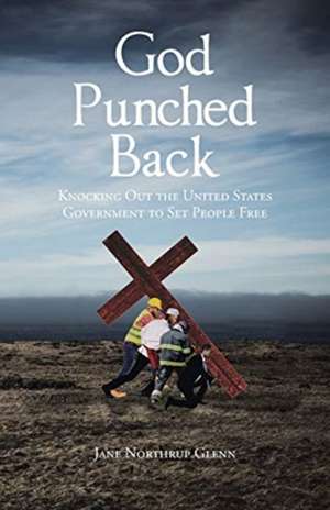 God Punched Back de Jane Northrup Glenn