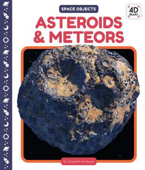 Asteroids & Meteors de Elizabeth Andrews