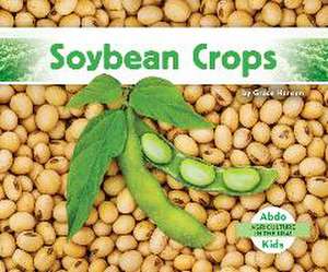 Soybean Crops de Grace Hansen