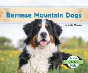 Bernese Mountain Dogs de Julie Murray