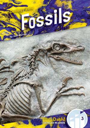 Fossils de Julie Murray