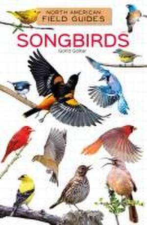 Songbirds de Golriz Golkar